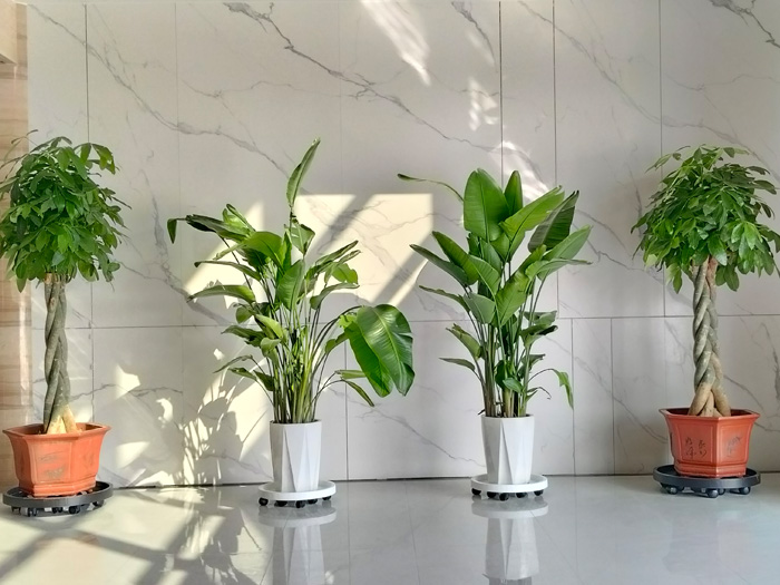 公司場(chǎng)景6